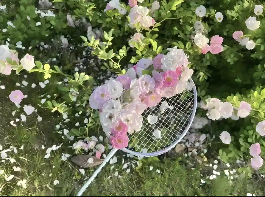 4k球拍壁纸 - 绿草 - 花丛 - 粉色花「哲风壁纸」