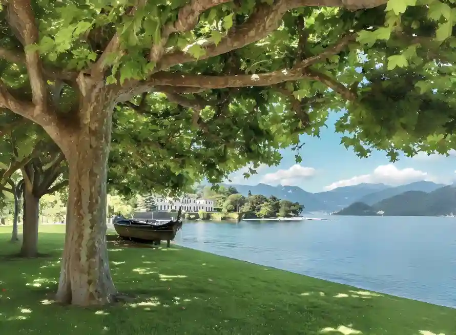 4k帆船壁纸 - 树木 - 树阴 - 湖泊「哲风壁纸」