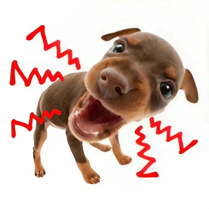 贝才来的用户头像 - 哲风壁纸