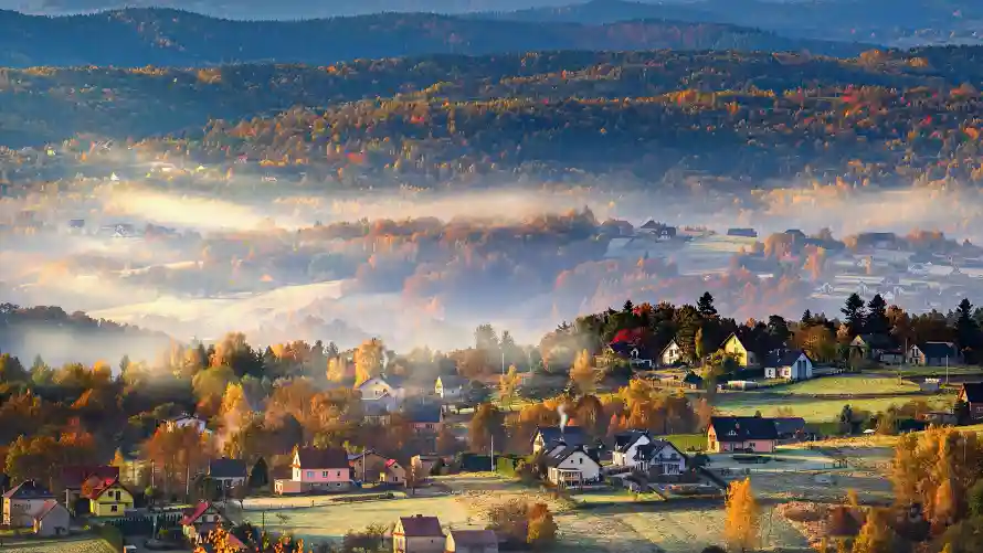 4k乡村壁纸 - 晨雾 - 树林 - 秋景「哲风壁纸」