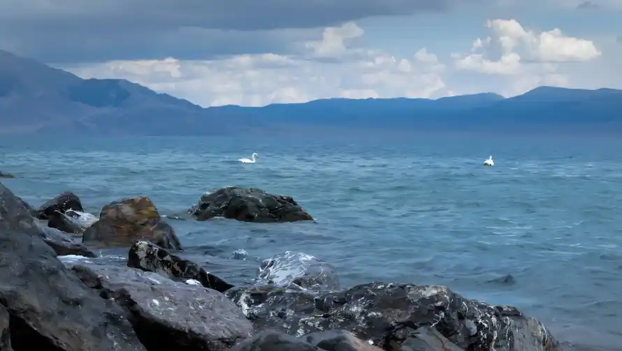 4k天空壁纸 - 天鹅 - 山脉 - 海浪「哲风壁纸」 4k天空壁纸 - 天鹅 - 山脉 - 海浪「哲风壁纸」