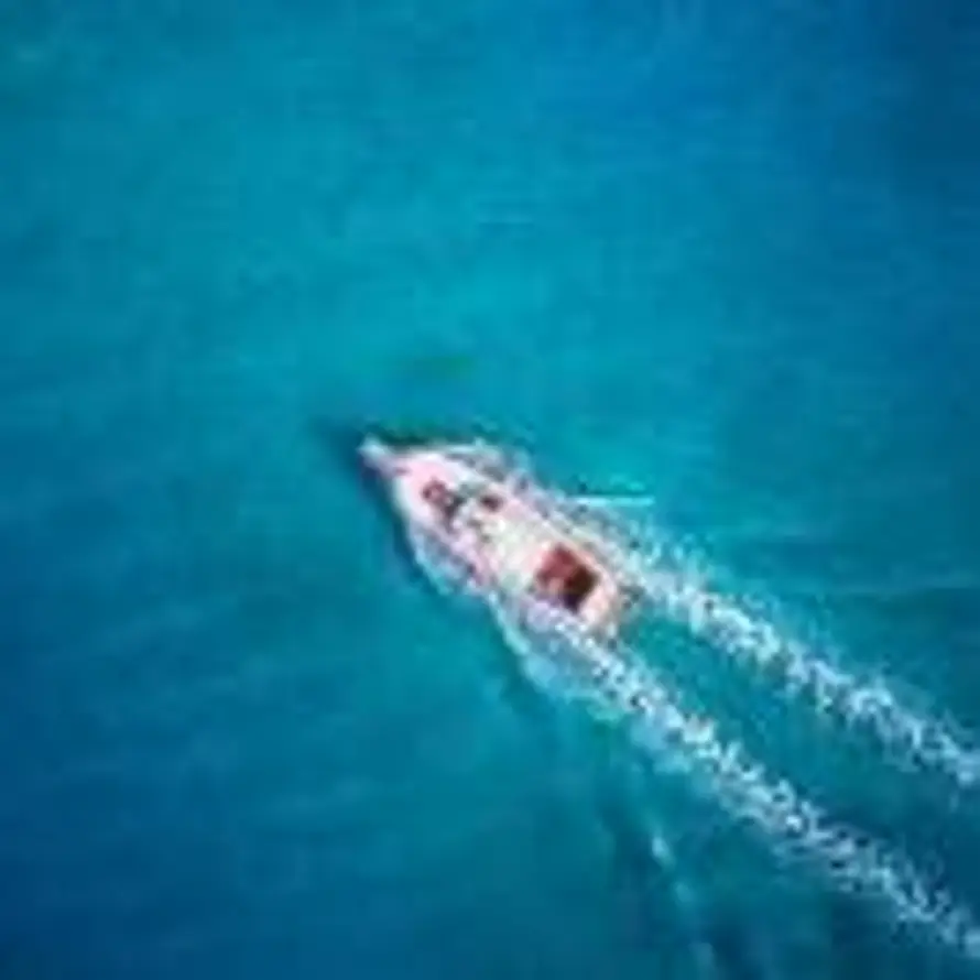 AAA净化设计的头像