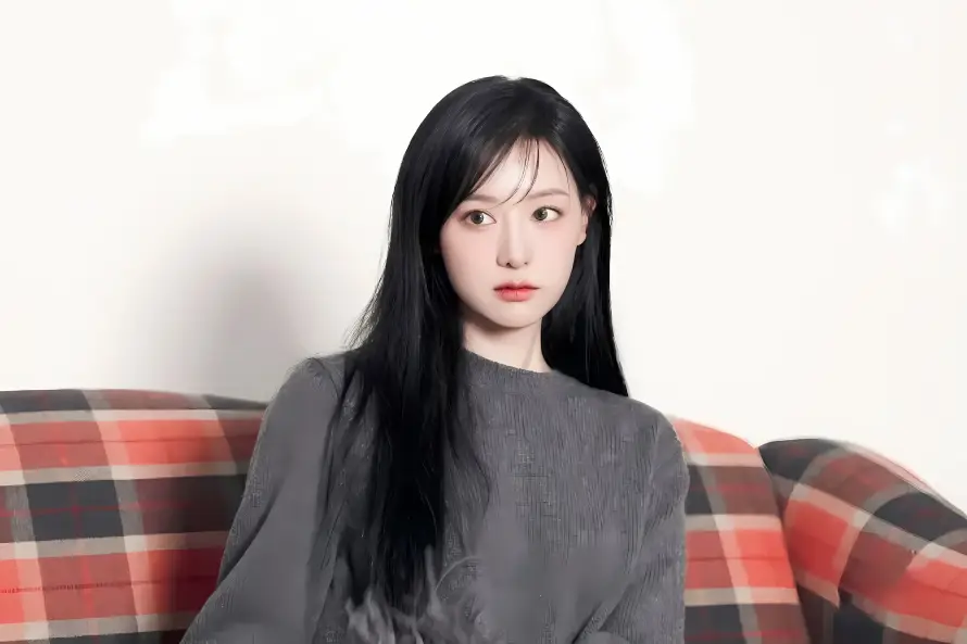 3k室内壁纸-金智媛壁纸和沙发-格子沙发壁纸分享「哲风壁纸」