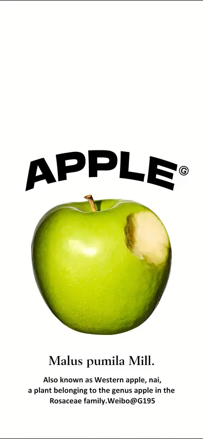 4k文字壁纸 - 果实 - 植物 - 清新「哲风壁纸」