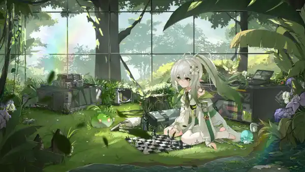 4k彩虹壁纸 - 棋 - 水 - 草「哲风壁纸」