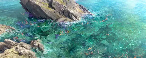 4k岩石壁纸 - 水 - 河 - 鱼「哲风壁纸」