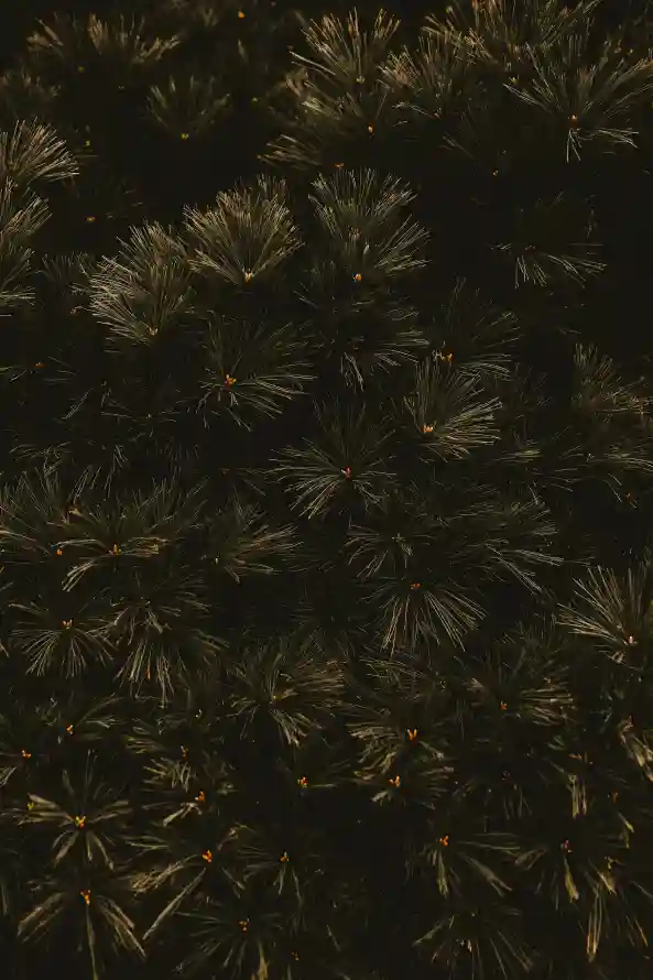 4k假日壁纸 - 午夜 - 天空 - 工厂「哲风壁纸」