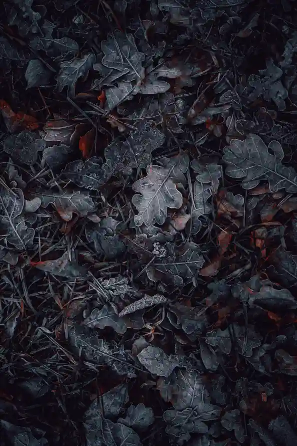 4k灰色壁纸 - 纹理 - 红色的 - 黑色的「哲风壁纸」