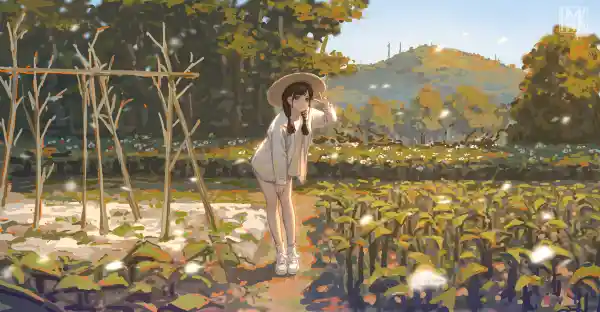 4k帽子壁纸 - 岭 - 插图 - 花园「哲风壁纸」