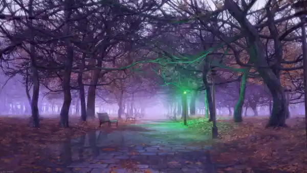 4k树叶壁纸 - 树 - 落下 - 路灯「哲风壁纸」
