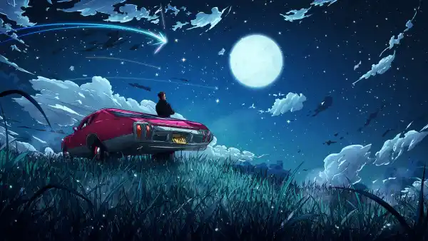 4k夜晚壁纸 - 草 - 车 - 夜空「哲风壁纸」