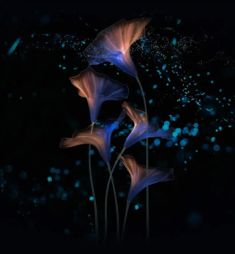 4k壁纸 - Huawei - Honor Magic 2 - wallpaper「哲风壁纸」