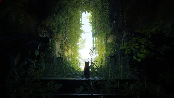 2k动物壁纸-未来派的与猫-猫科动物壁纸推荐「哲风壁纸」