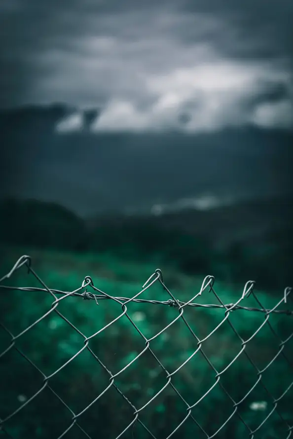 Favorite Image