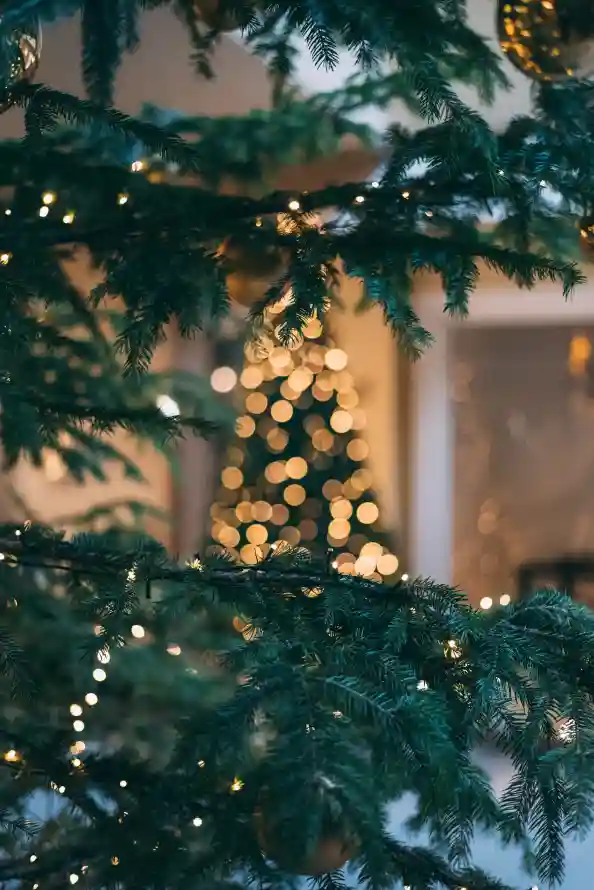 Favorite Image