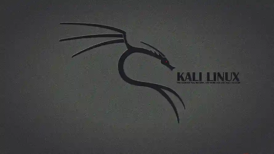 4kkali壁纸 - Linux - 电脑壁纸 - wallpaper「哲风壁纸」