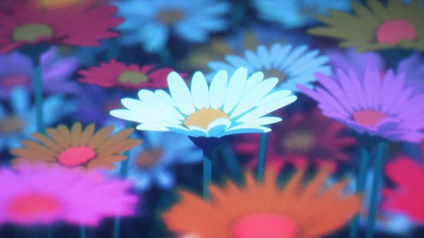 4k花朵壁纸-搜搜的朋友 - -壁纸推荐「哲风壁纸」