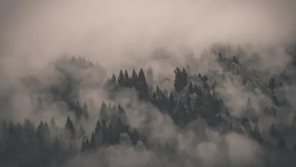 4k云杉壁纸 - 云 - 山 - 树「哲风壁纸」