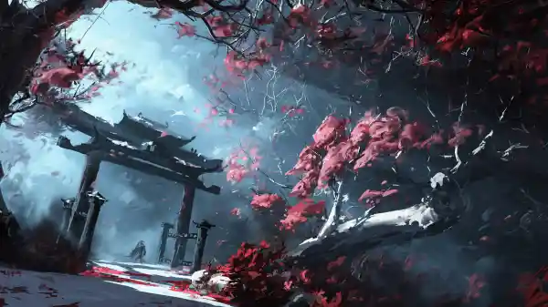 4k插图壁纸 - 树 - 森林 - 薄雾「哲风壁纸」