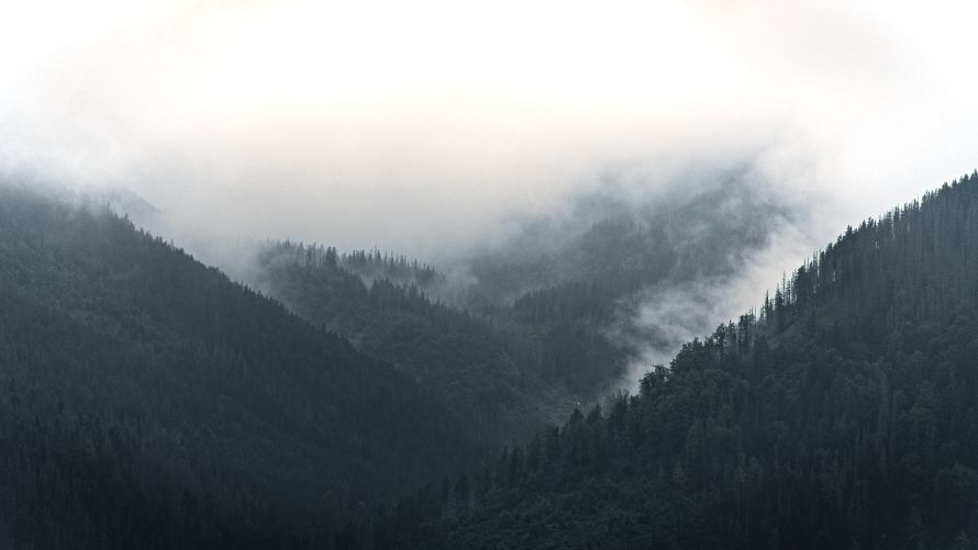 4k摄影壁纸 - 山 - 自然 - 薄雾「哲风壁纸」