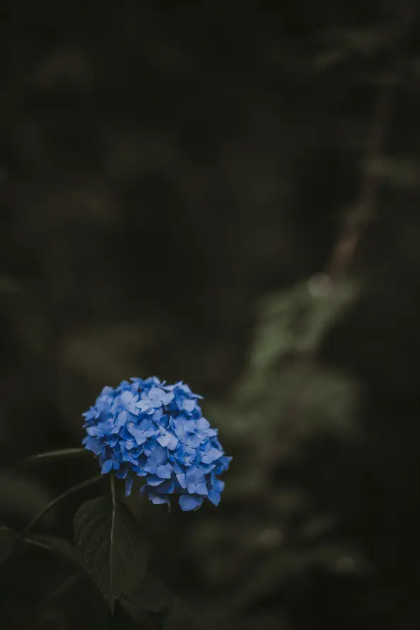4k天空壁纸 - 工厂 - 弹簧 - 白色「哲风壁纸」