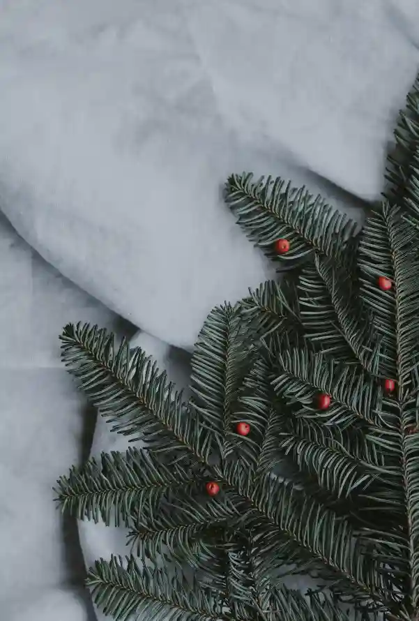 4k云杉壁纸 - 工厂 - Fir - 圣诞节「哲风壁纸」