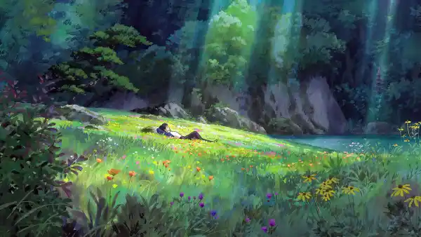 4k夏天壁纸 - 草 - 池塘 - 花朵「哲风壁纸」