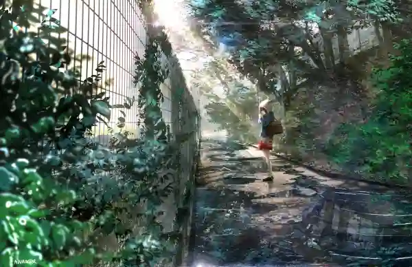 4k反射壁纸 - 包 - 栅栏 - 树叶「哲风壁纸」