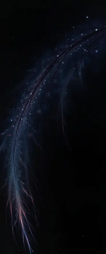 4k午夜壁纸 - 天空 - 气氛 - 黑色的「哲风壁纸」