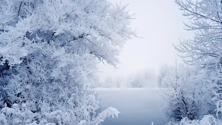 4k冰湖壁纸 - 雾凇 - 冬季森林 - 冰雪世界「哲风壁纸」