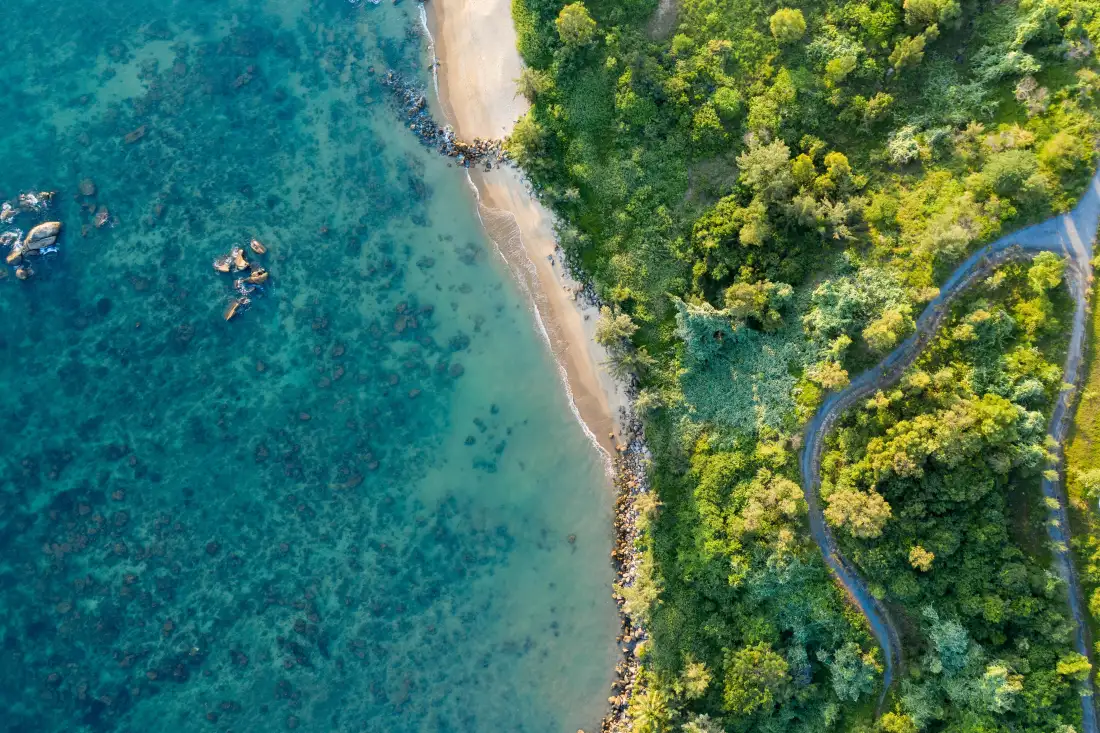 5k海岸森林俯视背景图片 - 自然风景「哲风壁纸」