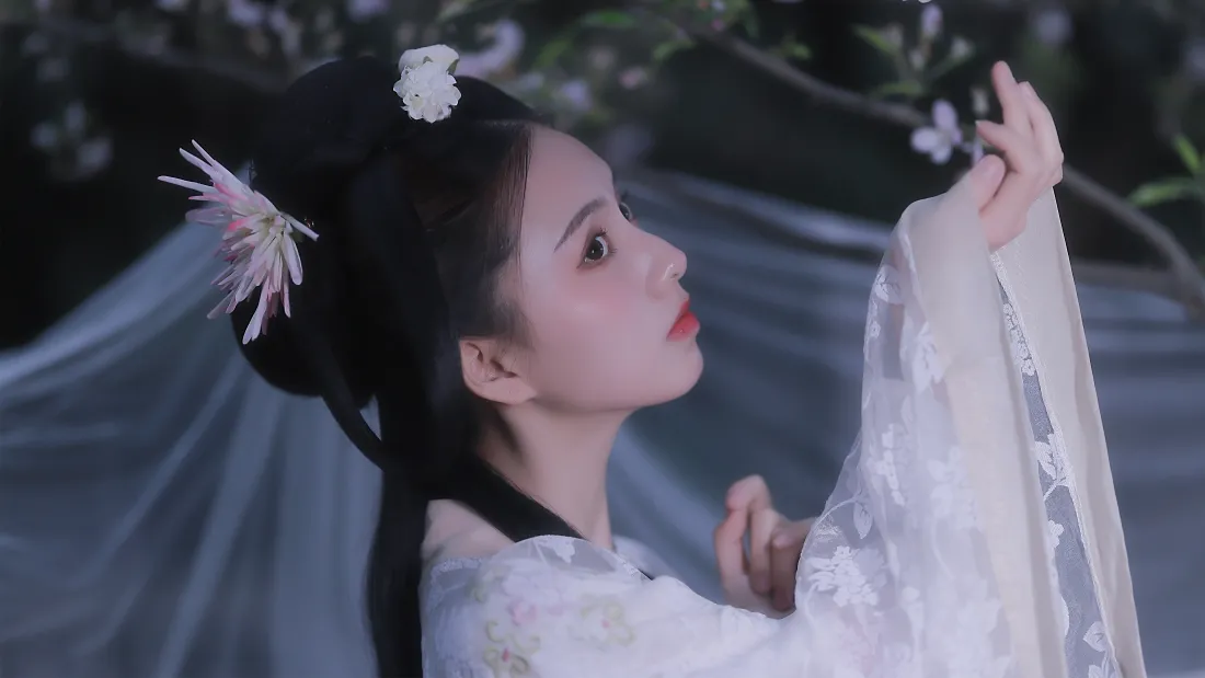 4k古风壁纸｜纱幔花影背景图片 - 古装美女「哲风壁纸」
