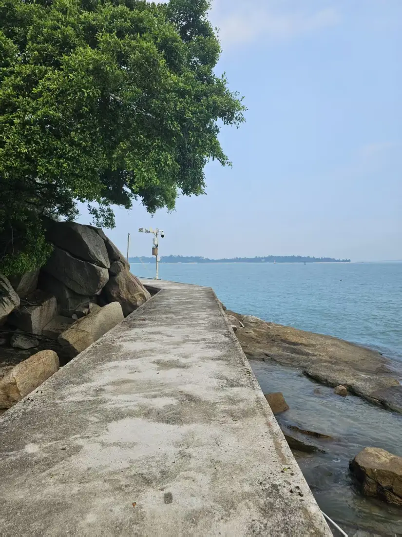 海边步道手机壁纸｜海洋背景图片 - 绿树「哲风壁纸」