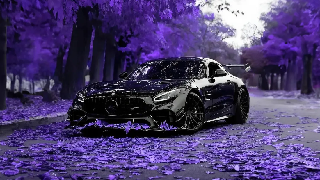 2k梅赛德斯AMG GT壁纸｜紫色落叶背景 - 黑色跑车「哲风壁纸」
