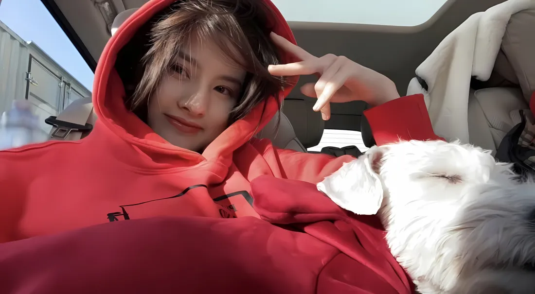 2k宋祖儿红衣壁纸｜车内狗狗 - 萌「哲风壁纸」