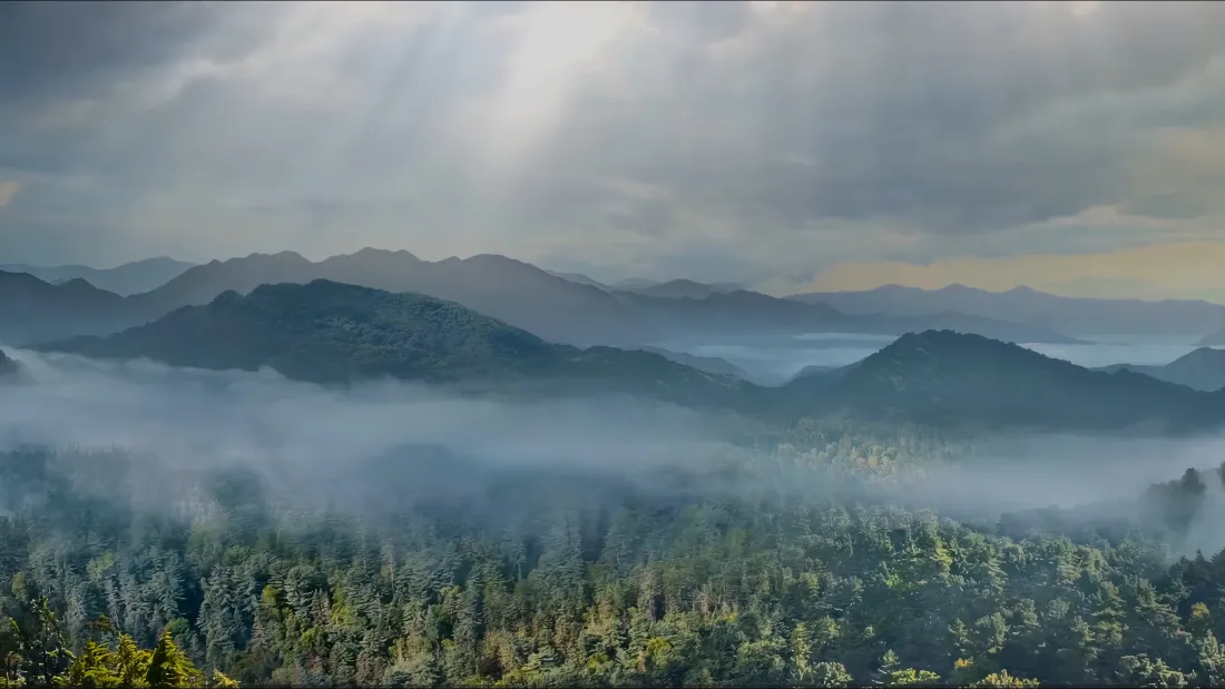 4k自然风景壁纸｜云雾山峦背景图片 - 森林晨雾「哲风壁纸」