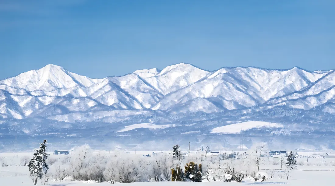 4k雪山雪景壁纸｜冬日雪地背景 - 蓝天树木「哲风壁纸」