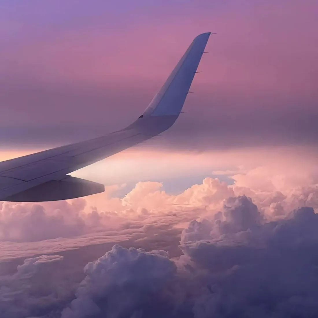 飞机机翼手机壁纸｜粉紫天空背景图 - 晚霞梦幻「哲风壁纸」