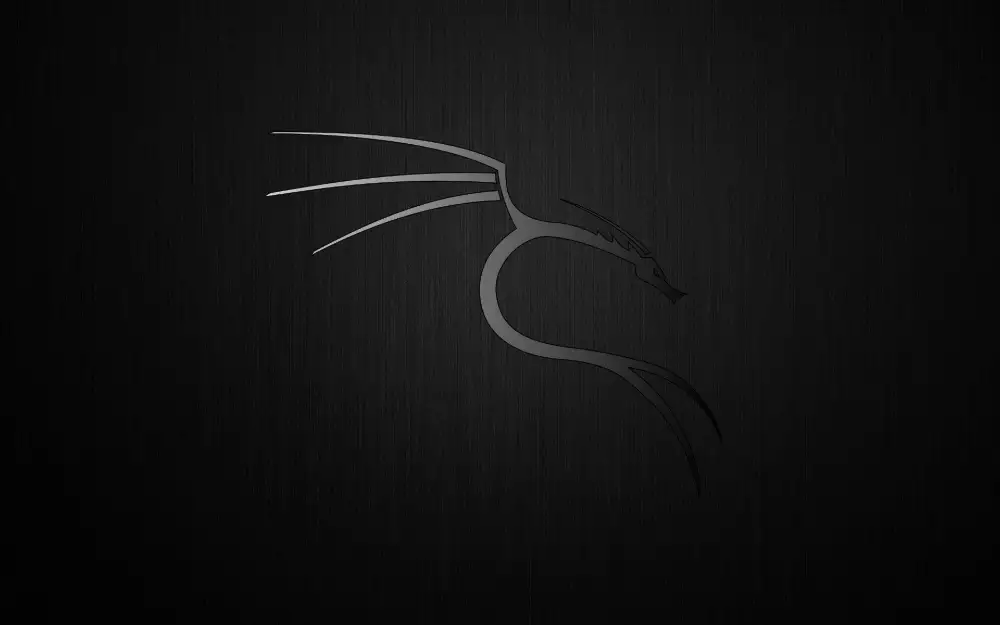 2k Linux壁纸下载 - kali系统暗色背景图片「哲风壁纸」