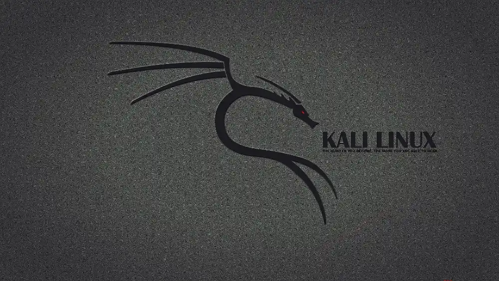 2k Linux壁纸下载 - kali系统灰色背景图片「哲风壁纸」